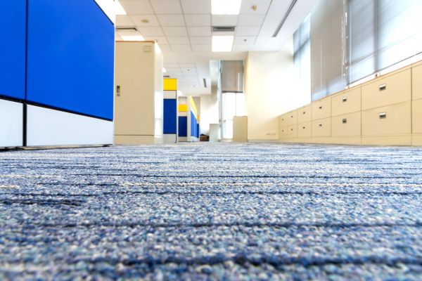 Business Carpet Cleaning in Middleburg