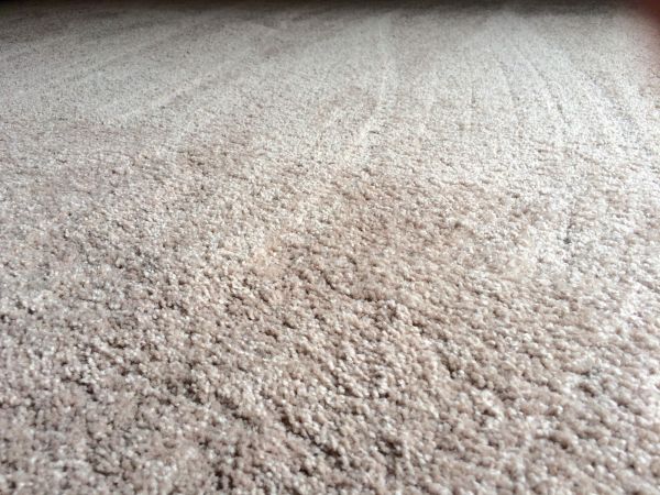 Plush Carpet Installation in Middleburg