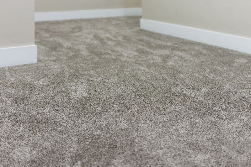 Clean Carpet Results