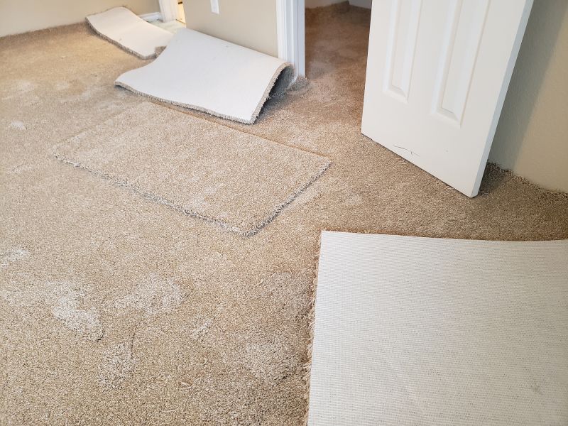 Doorway Carpet Repair